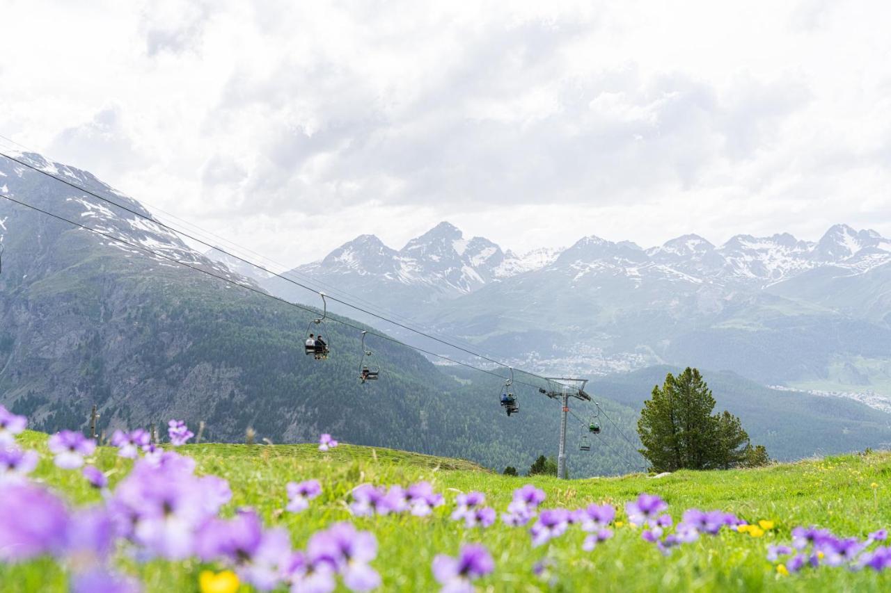 Sporthotel Pontresina Dış mekan fotoğraf